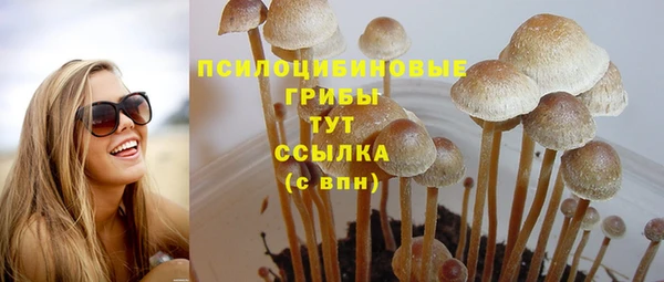 дживик Беломорск